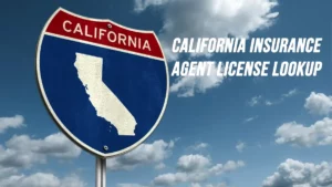 California Insurance Agent License Lookup