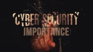 Cyber Security Importance